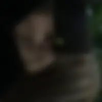 Bella, 33