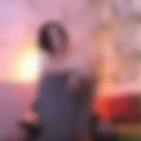 Vera, 45